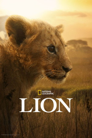 Lion izle - Dizipal afişi