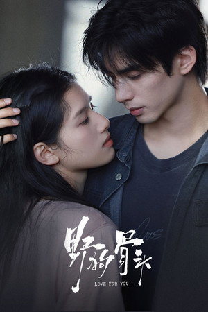 Love For You izle - Dizipal afişi