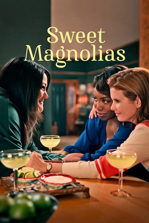 Sweet Magnolias izle - Dizipal afişi