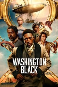 Washington Black izle