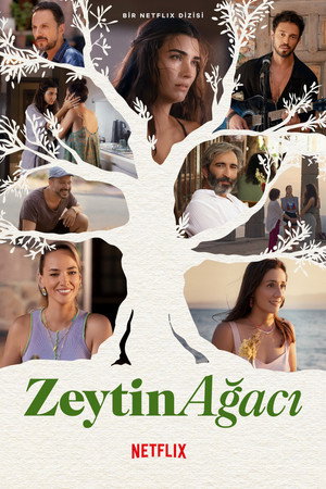 Zeytin Ağacı izle - Dizipal afişi